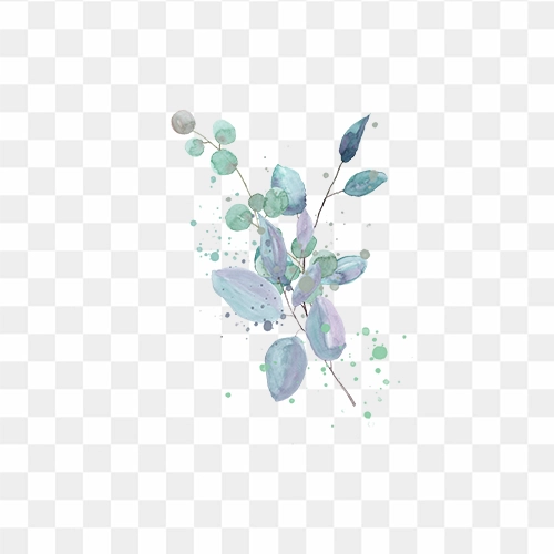 free png of herbs leaf